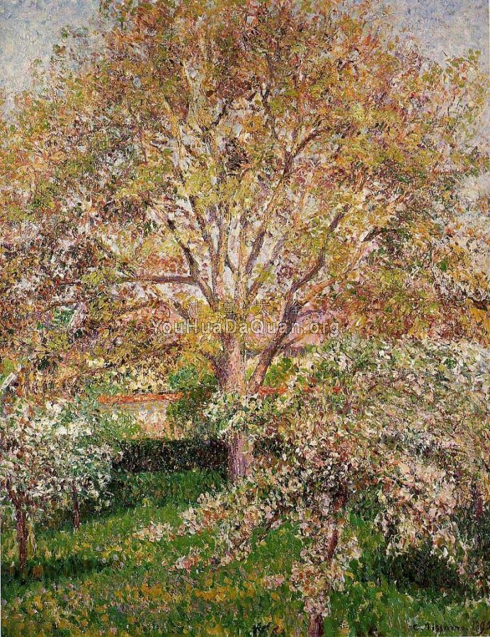 Walnut and Apple Trees in Bloom, Eragny - 卡米耶·毕沙罗